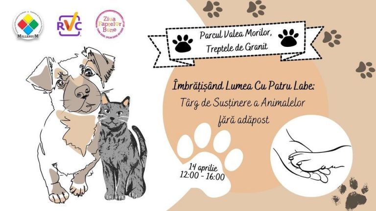 În Chișinău se va organiza un Târg de susținere a animalele fără adăpost