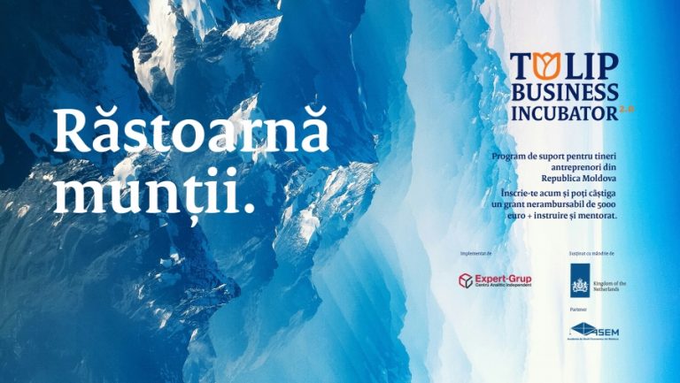 “Tulip Business Incubator 2.0” – training and funding opportunity for young entrepreneurs   