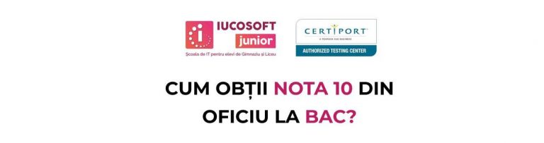 Cum obții 10 la BAC la informatică?
